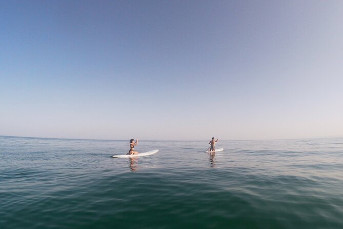 Paddle Yoga in the Green Coast