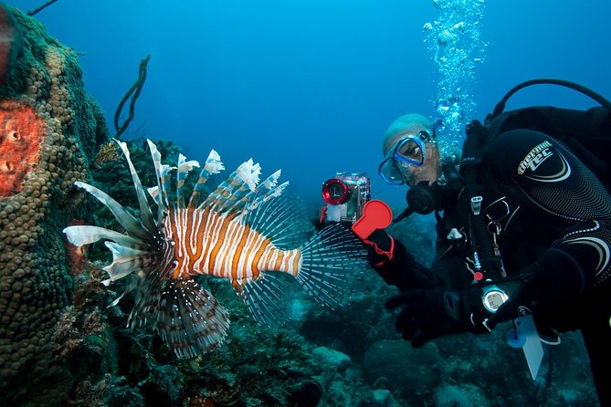 PADI Advanced Open Water Diver Course @ Anilao Batangas