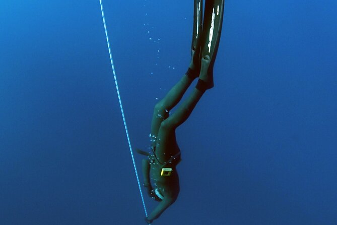 PADI Freediver Course