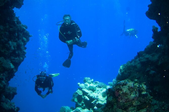PADI Open Water Course in Gran Canaria