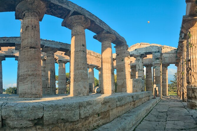 Paestum Traditions, Buffaloes, Ceramics, Temples