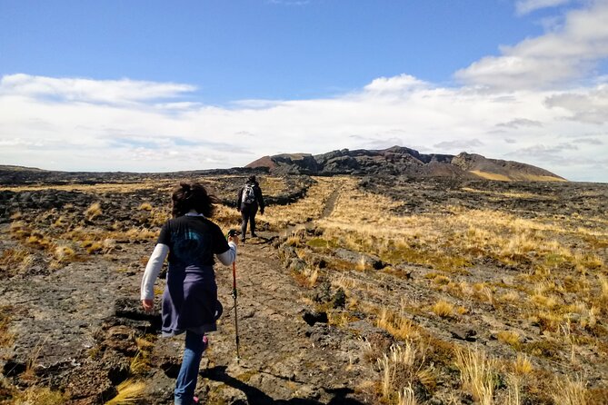 Pali Aike Full-Day Adventure From Punta Arenas