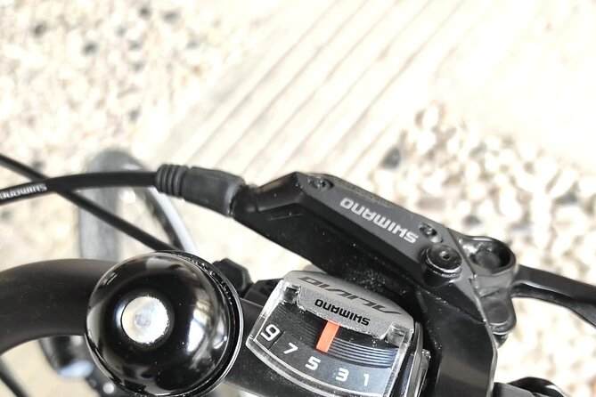 Palladian E-Bike Rental in & Around Vicenza