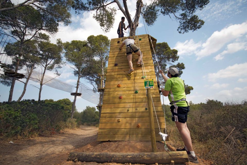 Palma: Family or Sports Course Adventure at Forestal Park - Overview and Pricing