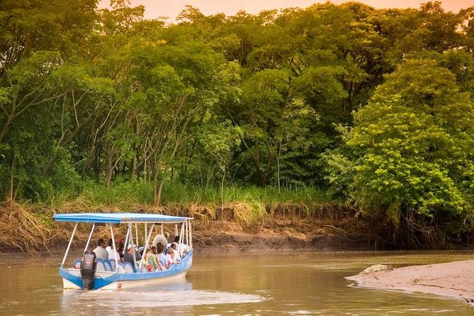 Palo Verde Wildlife Tour From Playa Hermosa-Coco Beach