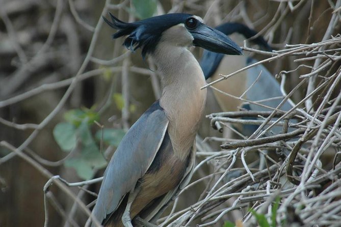 Palo Verde Wildlife Tour From Tamarindo - Inclusions and Exclusions