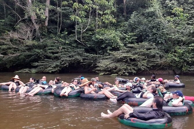 Palomino River Tubing With Nature Trail Hike - Overview of the Activity