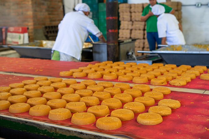 Panelero Tour a Sweet Experience Through Antioquia Culture