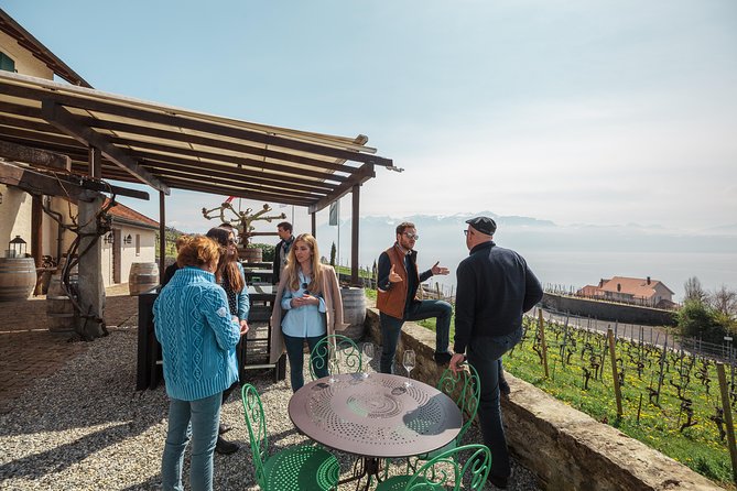 Panoramic Wine Tour From Lausanne