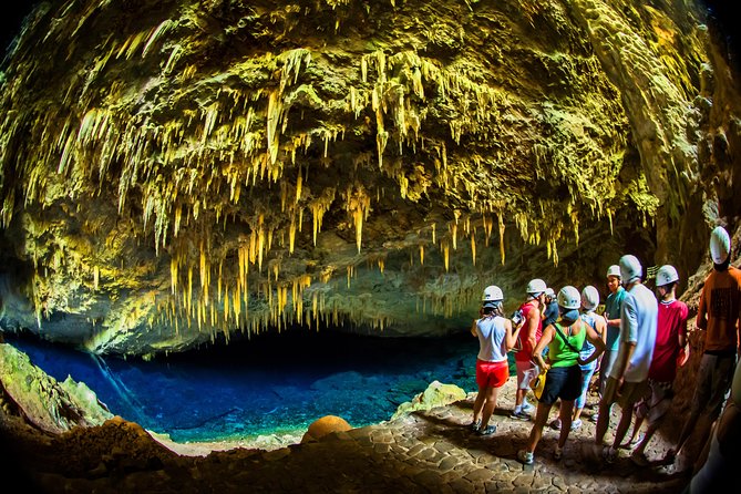 Pantanal & Bonito – Private Multi Day Tour