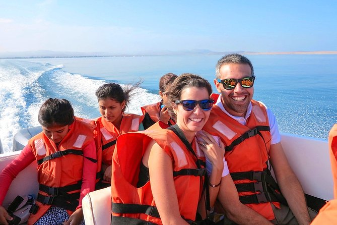 Paracas Reserve & Ballestas Islands Tour From Lima – Private Trip