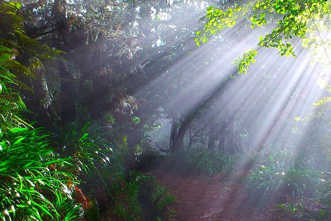 Paradise Valley – Levada Walk