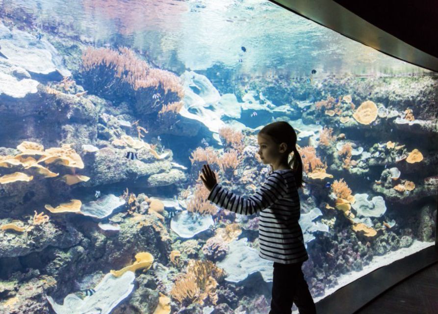Paris: Aquarium Entry Ticket & Self-Guided Eiffel Tower Tour - Overview and Pricing