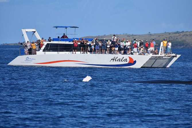 Pau Hana Sunset Cruise With the Whales
