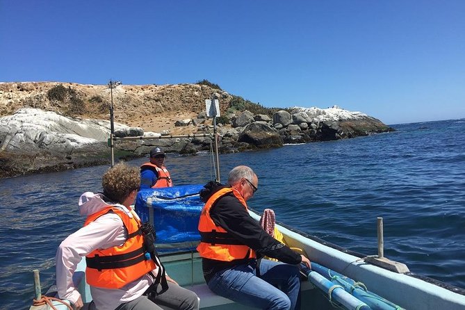 Penguins Watching-Navigation & HorseRide & Barbecue From Santiago