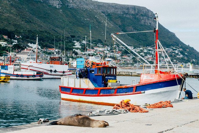 Peninsula Roadtrip: Boulders Beach & Cape Point - Meeting and Pickup Information