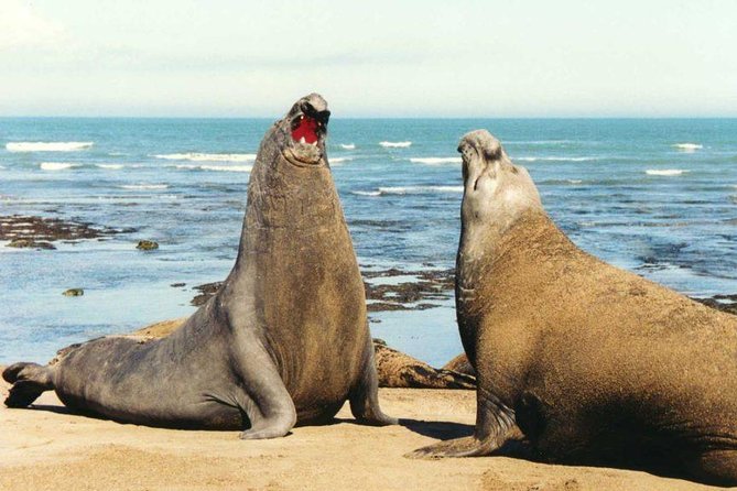 2 Best Shore Excursions In Patagonia