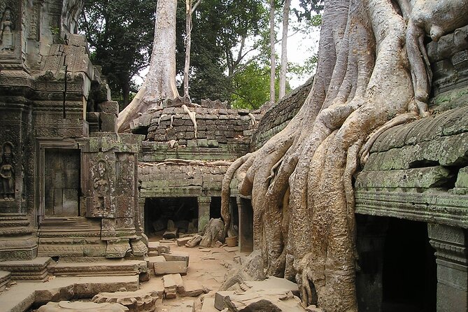 Personalised Angkor Wat Sunrise Tour by an Air-Conditioned Car