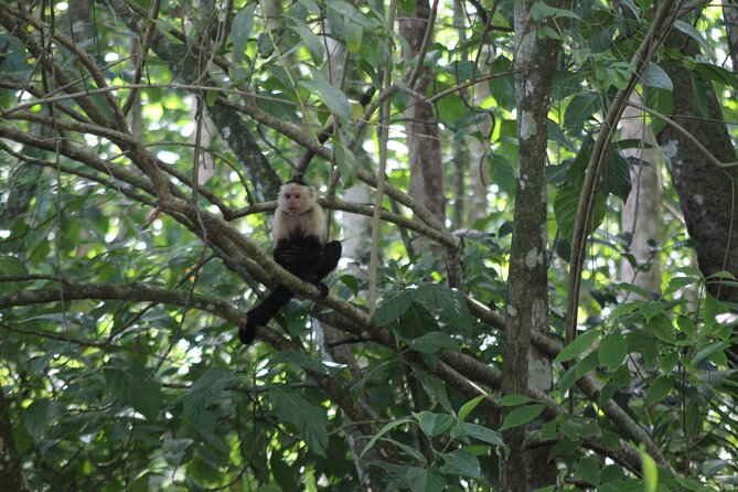 Personalized Private Tour Experience - Costa Rica