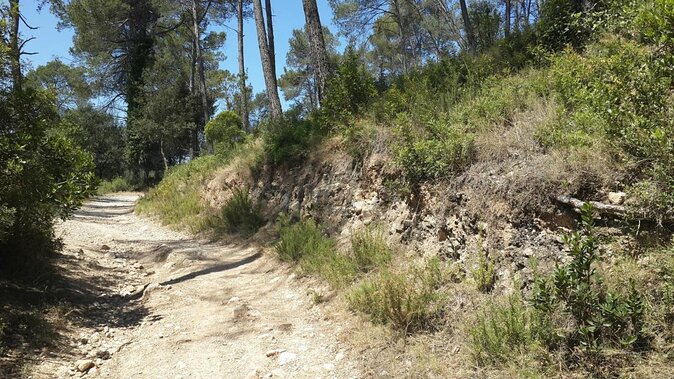 Photography Route Through the Secret Nature of Barcelona - Meeting and Transportation