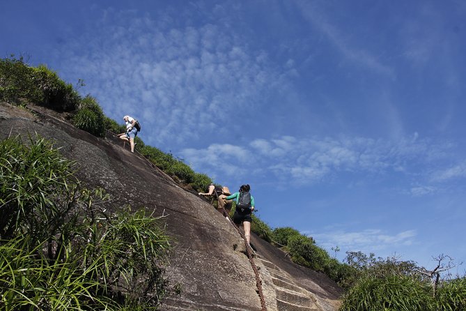 Pico Da Tijuca Hiking Tour in Tijuca Forest National Park