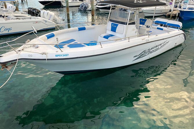 Pigs Beach, Green Turtle Cay, Rose Island Private Tour