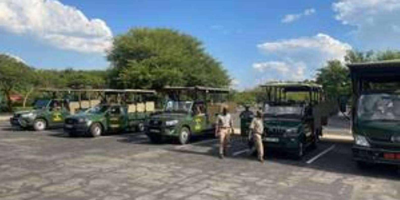 Pilanesberg : Private Game Drive - 10 Seater - Activity Overview