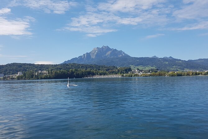 Pilatus Golden Roundtrip: Exclusive Small Group Tour From Basel