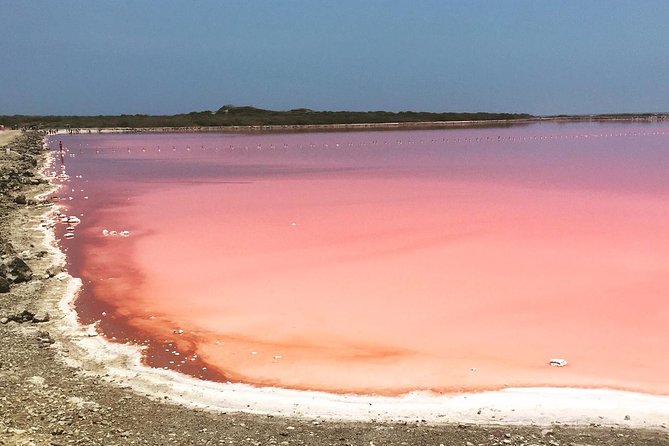 Pink Sea of Galerazamba - Highlights and Photo Opportunities