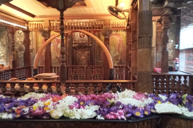 Pinnawala Private Day Trip From Colombo or Negombo - Pickup and Drop-off Details