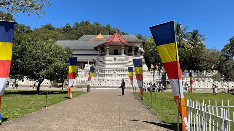 Pinnawala & Tea Factory & Kandy Full Day Tour From Negombo