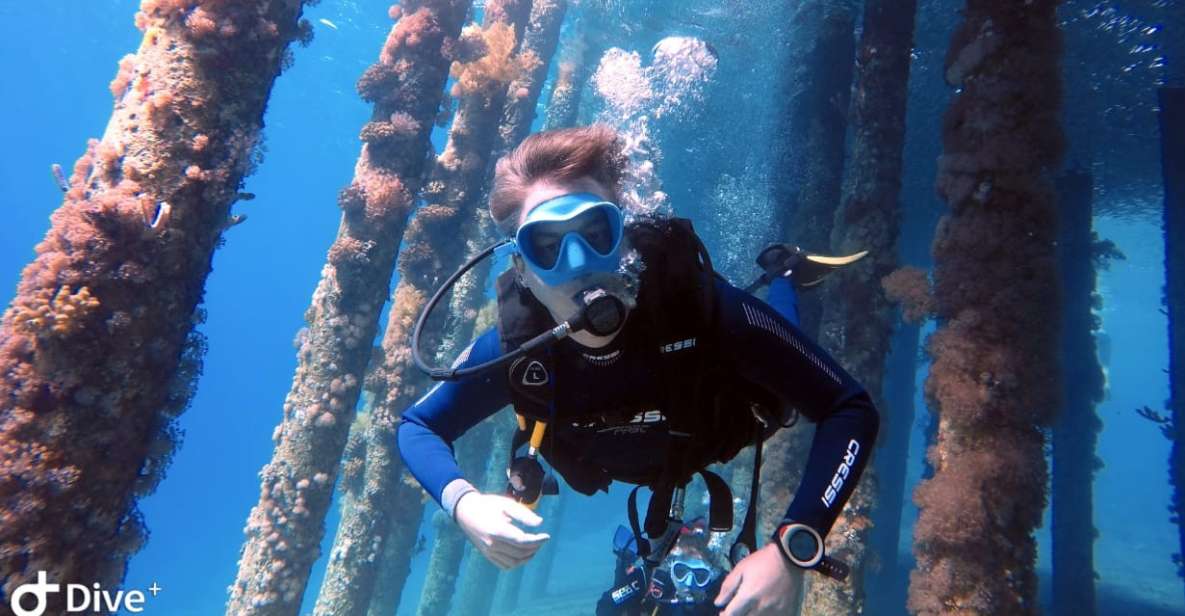 Pivate Scuba Diving in the Red Sea of Aqaba - Overview of Private Scuba Diving