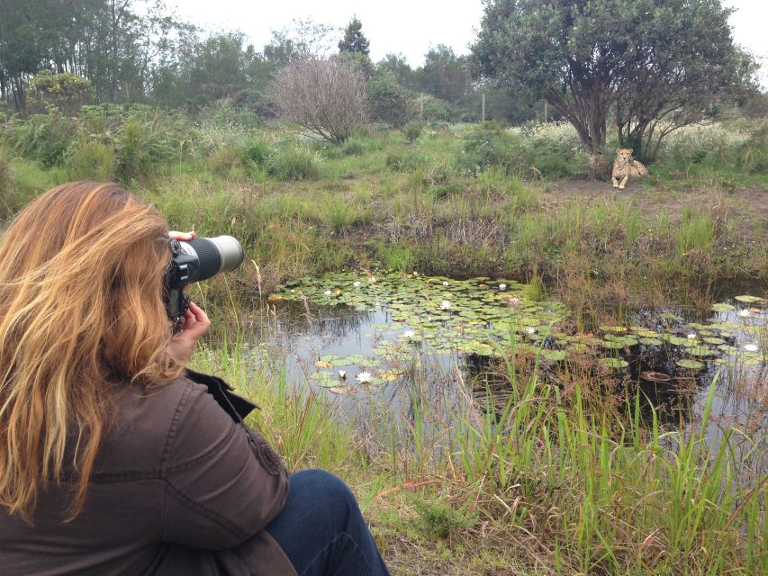 Plettenberg Bay: Cats in Conservation Full Day Tour - Tour Overview and Pricing