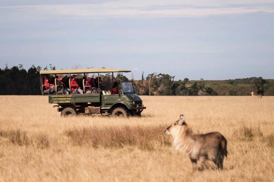 2 Best 2 Hour Tours and Experiences in Plettenberg Bay