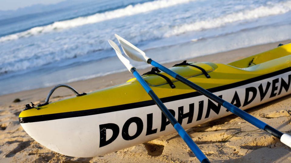 Plettenberg Bay: Guided Sea Kayak Tour - Experience Highlights