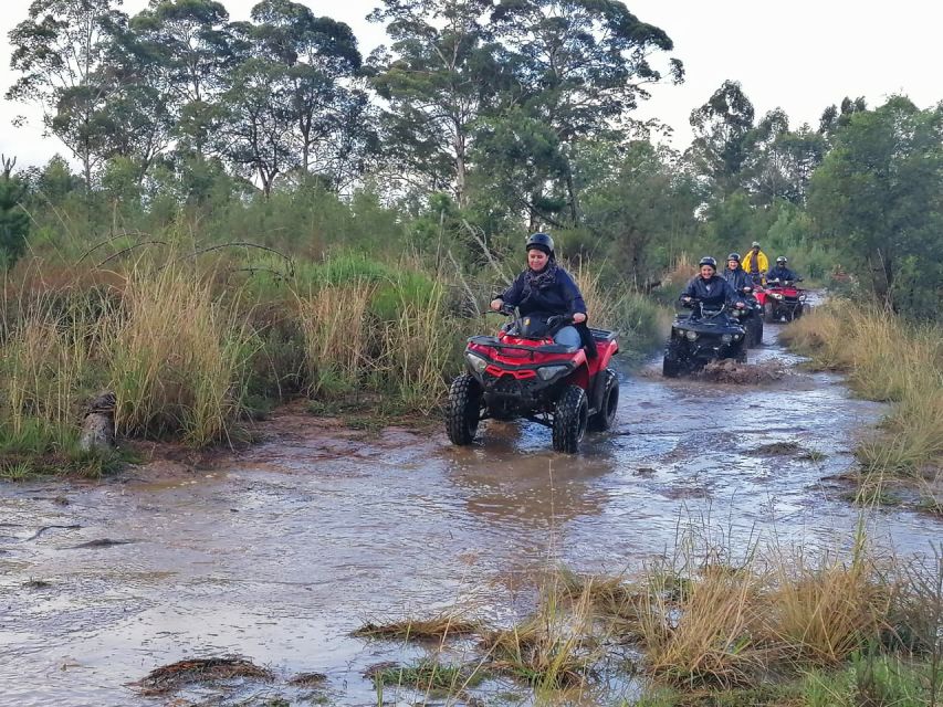 PLETTENBERG BAY: QUAD BIKE FUN RIDE IN THE CRAGS WITH WILDX - Overview of the Quad Bike Adventure