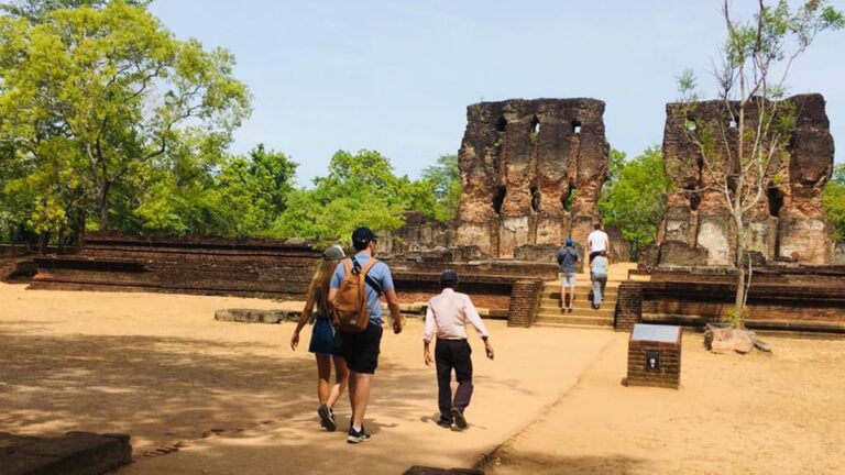 Polonnaruwa Sight Seeing Tour and Minneriya Elephant Safari