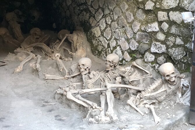Pompeii and Herculaneum Private Tour With Pick up and Wine Tasting