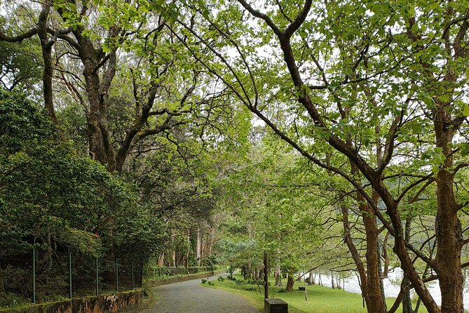Ponta Delgada Private Sao Miguel Highlights Tour