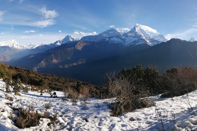 Poon Hill Trek