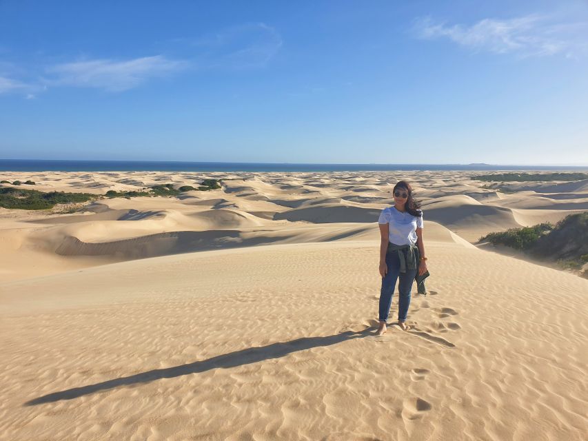 Port Elizabeth: 2-Day Addo Elephant Park Safari