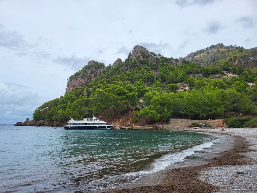 Port of Soller: Cala Tuent Return Boat Trip - Overview and Pricing