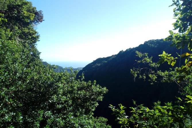 PR18 Levada Do Rei Private Transfer