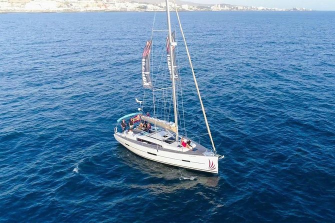 Premium All Inclusive Whale & Dolphin Watching Experience