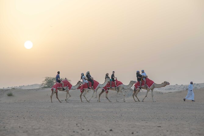 Premium Red Dunes Bashing With Quad Bike, Camel, Falcon &Vip Camp