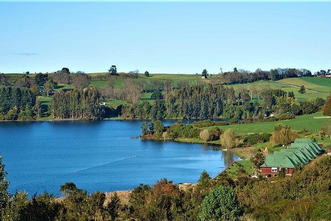 Premium Small-Group Half Day Tour to Frutillar in Puerto Varas