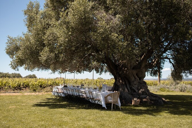 Premium Vineyard Tour & Tasting