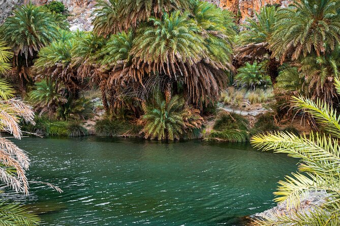 Preveli Beach and Plakias Full-Day Trip From Rethymno