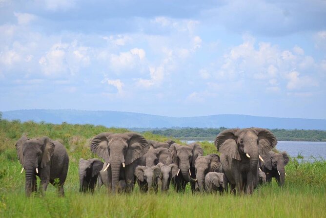 Private 1 Day Akagera Big Five Safari With Pick up and Lunch.