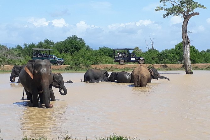 Private 2-Day Trip To Mirissa Beach And Yala From Colombo